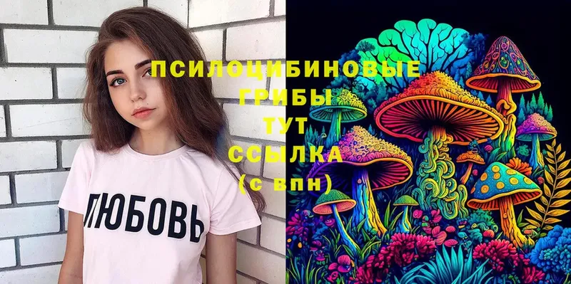 Галлюциногенные грибы Psilocybine cubensis  ОМГ ОМГ онион  Дальнегорск 